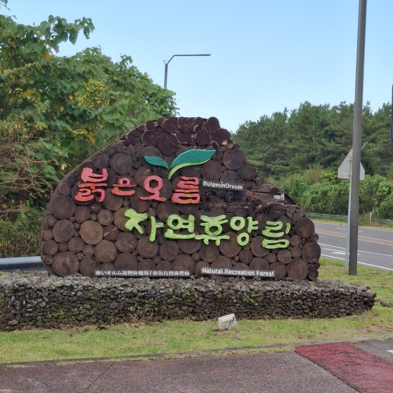 붉은오름자연휴양림 제주도한달살기숙소