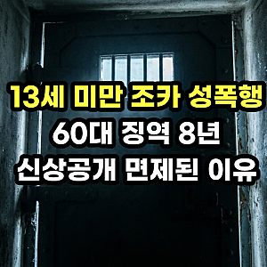 어린 조카 성폭행 60대 징역 8년(+신상공개 면제 판결 이유)
