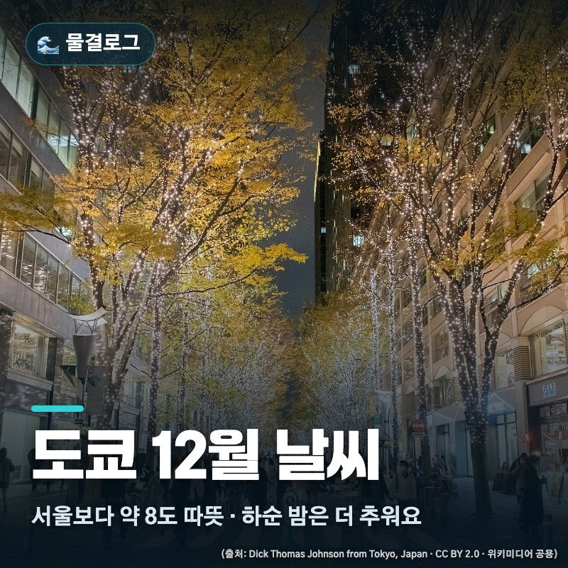 도쿄 12월 날씨 옷차림 2026, 낮 12도 밤 4도 하순 기온·일몰