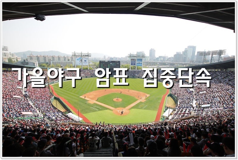 포스트시즌 가을야구 암표 집중단속