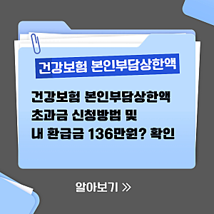 건강보험 본인부담상한액 초과금 신청방법, 내 환급금 136만원?