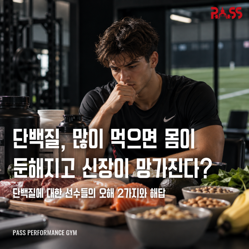 [서울 피지컬 센터] 단백질 많이 먹으면 몸이 둔해지고 신장이 망가진다? : 운동선수를 위한 ....