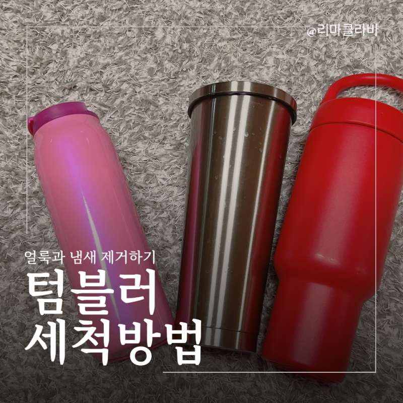 텀블러 세척 방법 음료 얼룩과 냄새 제거하는 법