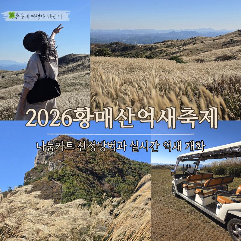 2026 합천 황매산 억새축제 일정, 나눔카트 신청방법 운행시간 실시간 탑승후기