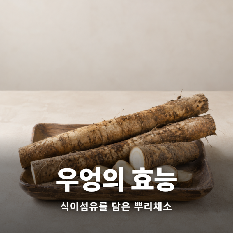 우엉 효능과 성분 부작용 칼로리와 보관법