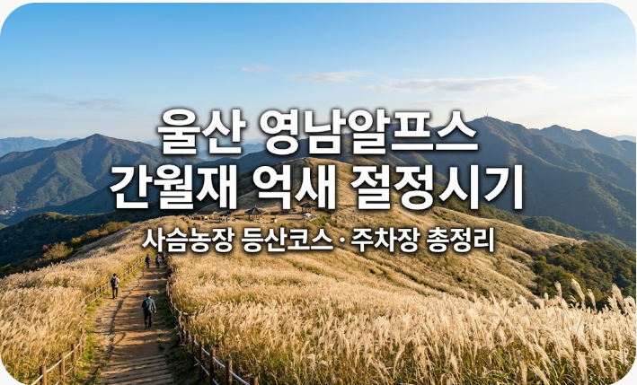울산 영남알프스 간월재 억새 절정 시기와 사슴농장 등산코스·주차장 총정리
