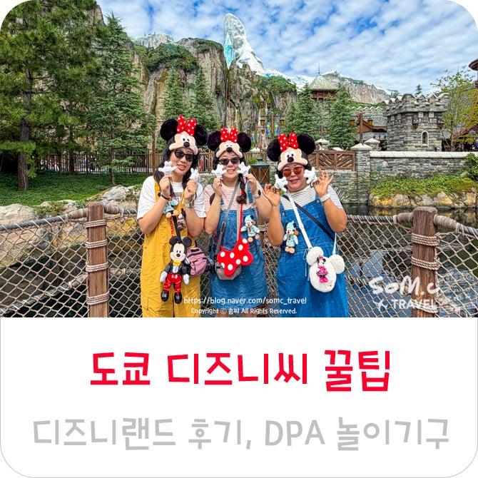 도쿄 디즈니씨 도쿄 디즈니랜드 후기 DPA 입장권 어트랙션 꿀팁
