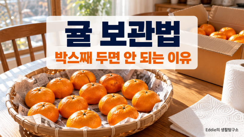 귤 보관법, 박스째 두면 왜 금방 물러질까? 곰팡이 핀 귤 옆 귤은 먹어도 될까