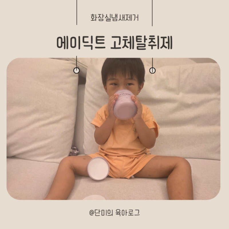 에이딕트 고체탈취제 화장실냄새제거, 더현대 팝업 품절대란템 후기