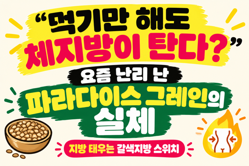 "먹기만 해도 체지방이 탄다?" 요즘 난리 난 파라다이스 그레인의 진짜 효능