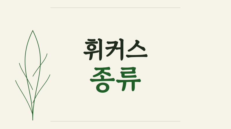 휘커스 종류, 잎으로 구별하고 우리 집에 맞게 고르는 법