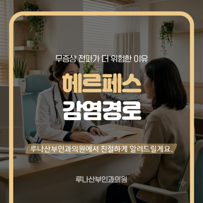 헤르페스 감염경로 증상이 없어도 옮긴다? 무증상 전파가 더 위험한 이유