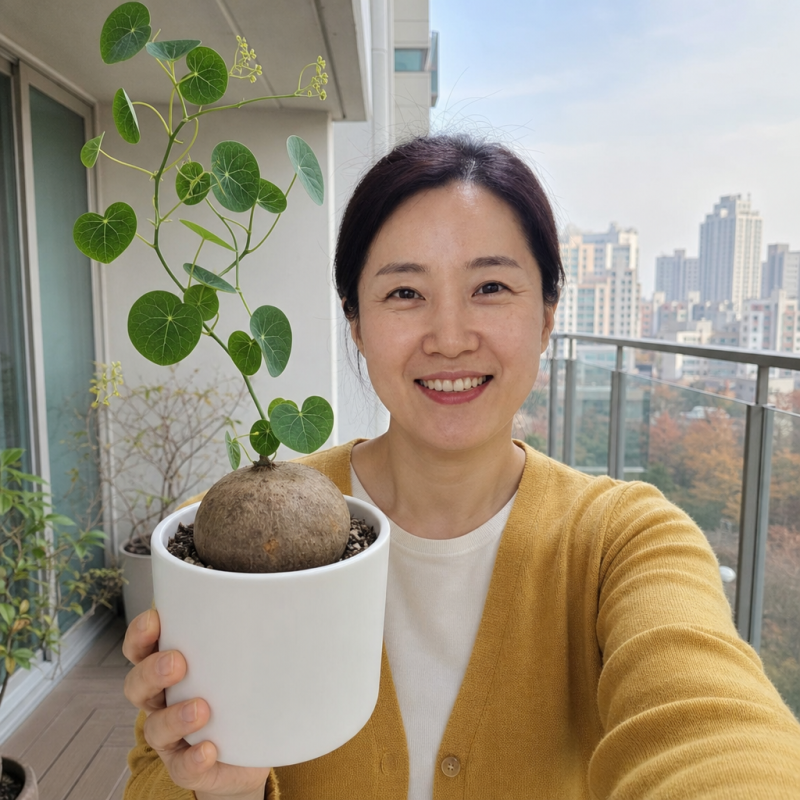 "가을분갈이 한 번에 겨울을 못 넘길 수도 있어요" 15도 아래선 잠드는 스테파니아 에렉타 키....