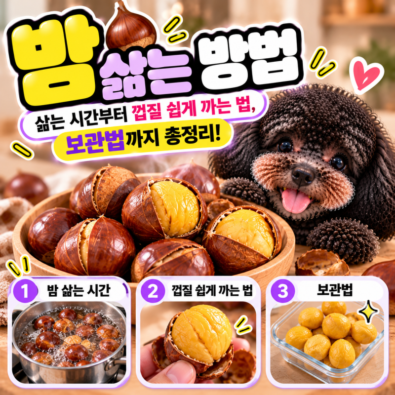 밤 삶는 방법｜밤 삶는 시간부터 껍질 쉽게 까는 법, 보관법까지 총정리