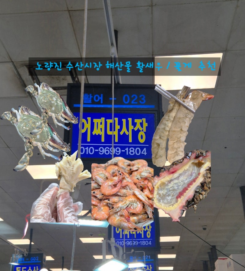 노량진수산시장 활새우 생새우 꽃게 자연산멍게 시세 내돈내산 추천 어쩌다사장