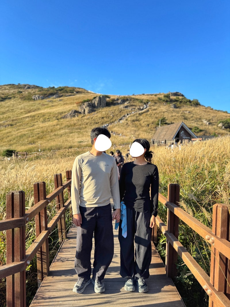 간월재 억새 시즌 주차 현실, 배내2공영주차장 만차일 때 사슴농장 코스 소요시간까지