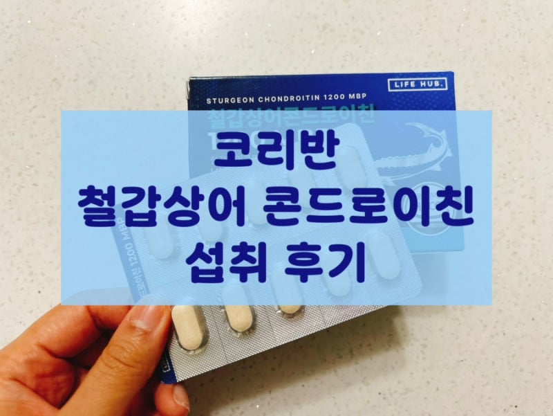 [콘드로이친] 코리반 철갑상어 콘드로이친 가성비 좋게 챙기는 든든한 루틴