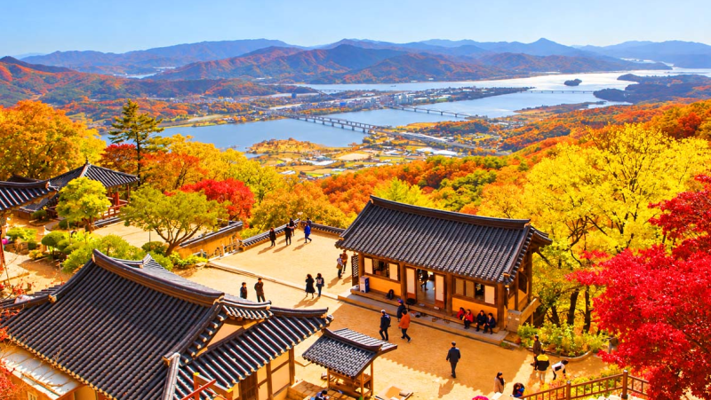 남양주 운길산 수종사, 500년 은행나무와 두물머리 단풍 절경