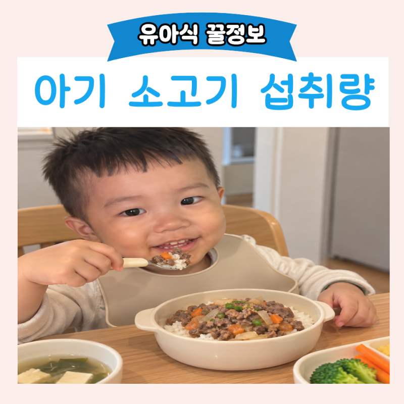 월령별 아기 소고기 섭취량 어떻게될까? 소고기 중요한 이유