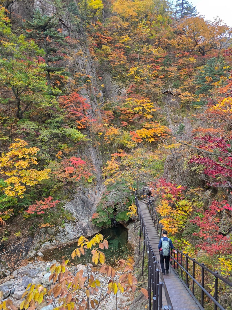[100대 명산]설악산 단풍 절정, 천불동-대청-오색 코스