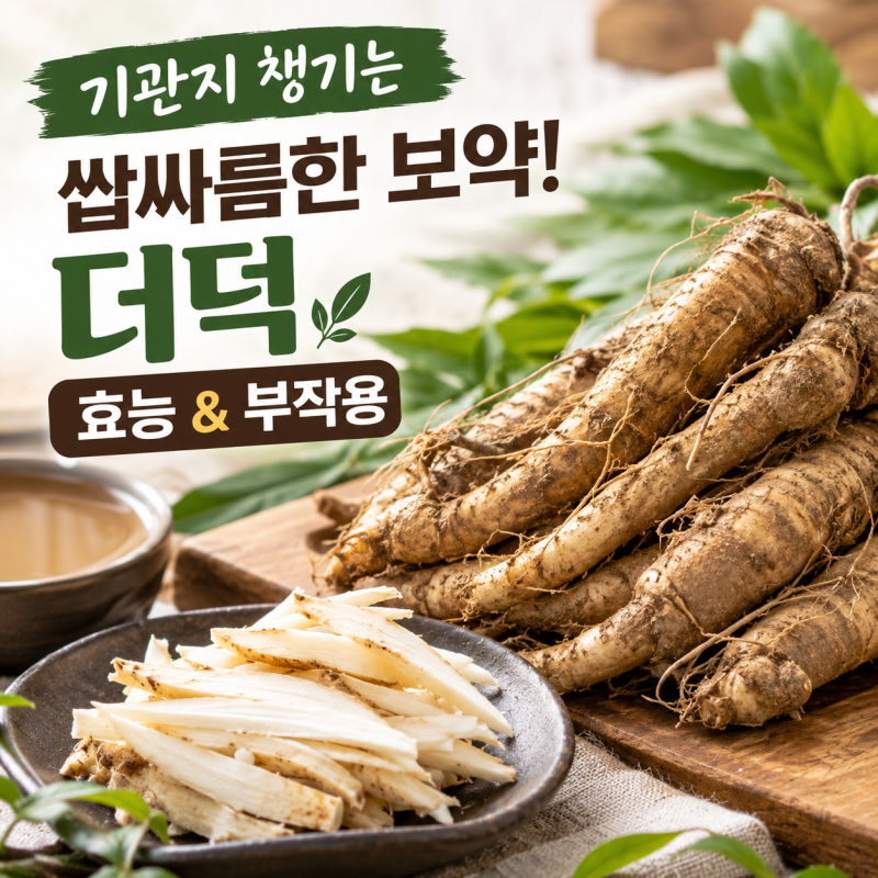 제철 더덕 효능 부작용 손질법, 영양 성분 제대로 먹는 팁