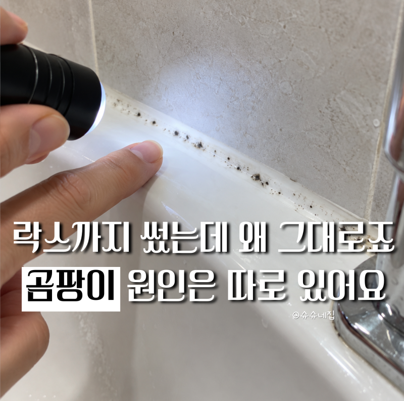 "락스로도 안 지워지는 욕실 검은 틈새 어떻게 없앨까?" 실리콘 곰팡이 제거 방법