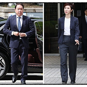 노소영 최태원 재산분할, 왜 노소영은 맞상고 안 하고 최태원만 재상고했나