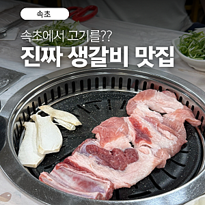 속초 교동 맛집 옛날숯불녹원갈비 현지인 추천 숯불 생돼지갈비 내돈내산