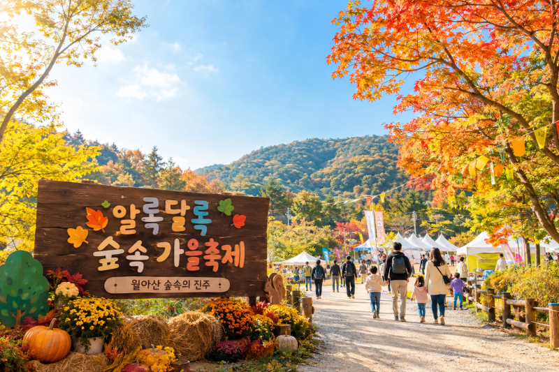 진주 월아산 숲속의 진주 가을축제! 10월 31일~11월 1일 숲속 체험부터 공연까지 총정리