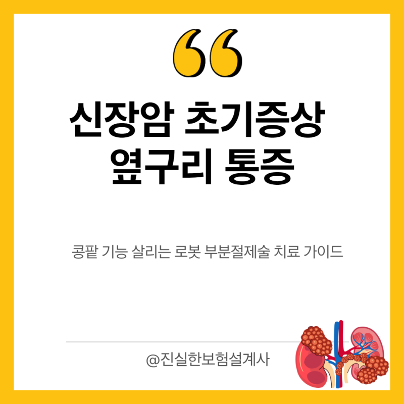 신장암 초기증상 옆구리 통증과 콩팥 기능 살리는 로봇 부분절제술 치료 가이드