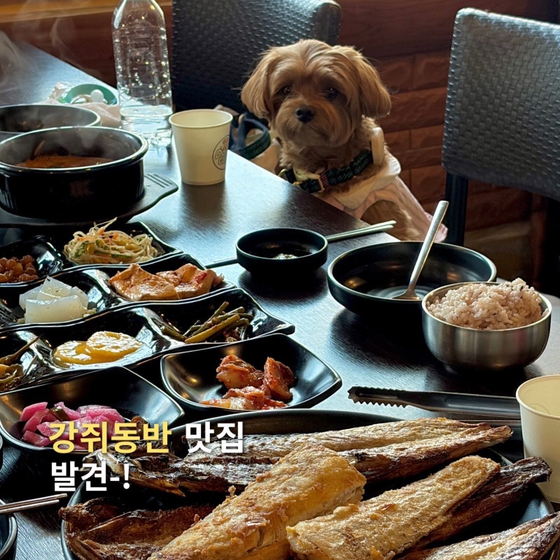 장흥 애견동반식당 양주 토속마당 생선구이 추천