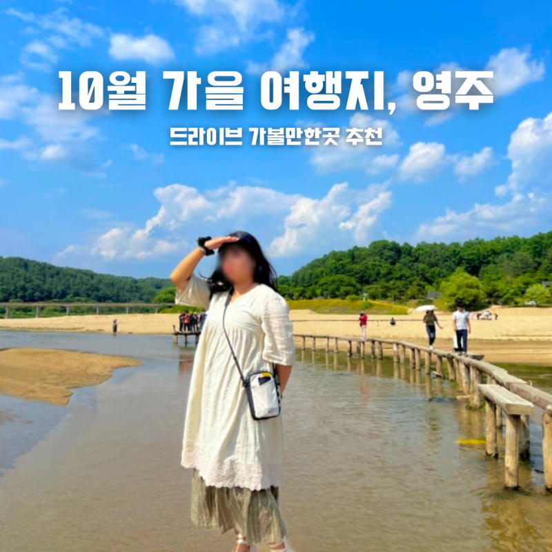 영주 무섬마을 포함 인생샷 꼭 건지는 가볼만한곳 경북 가을 여행