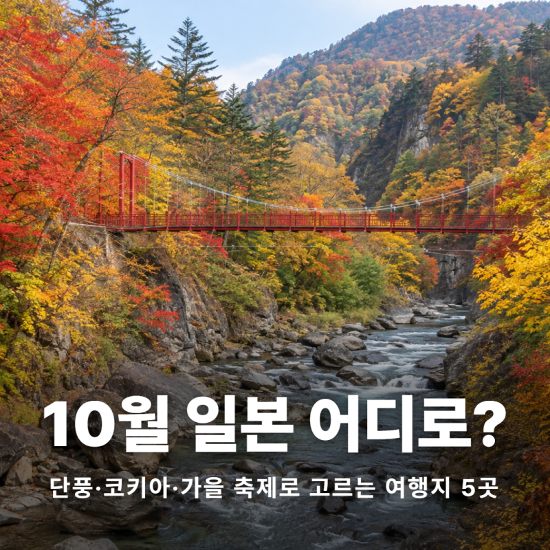 10월 일본 추천여행지 TOP 5, 붉은 계곡부터 황금빛 산책길까지