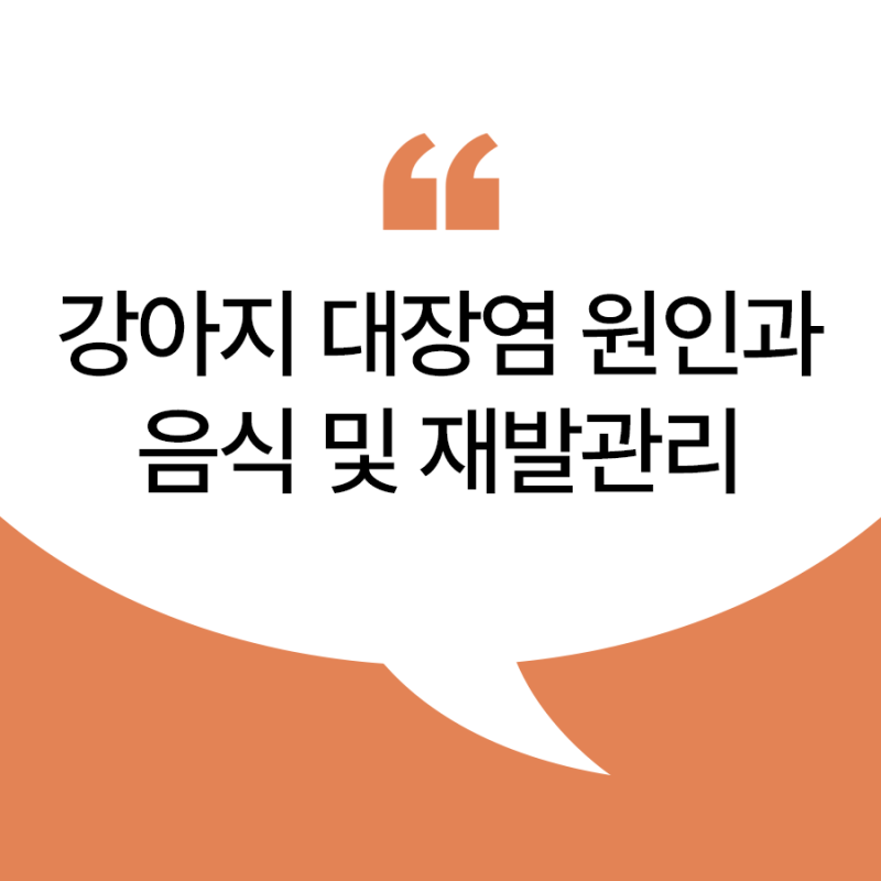 강아지 혈변·점액변 자주 본다면? 대장염 의심 증상과 검사·치료·관리- 양산 동물병원 에스....