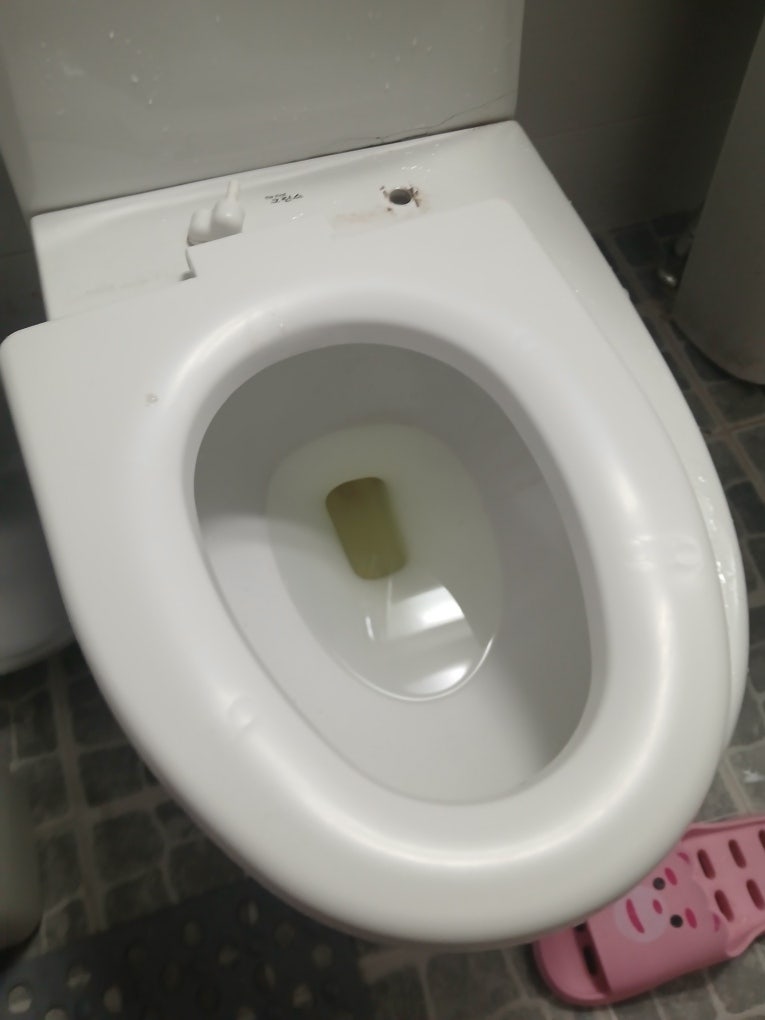 변기 커버가 흔들리고 떨어졌다면? 시흥시 정왕동 변기 커버 교체 완료!