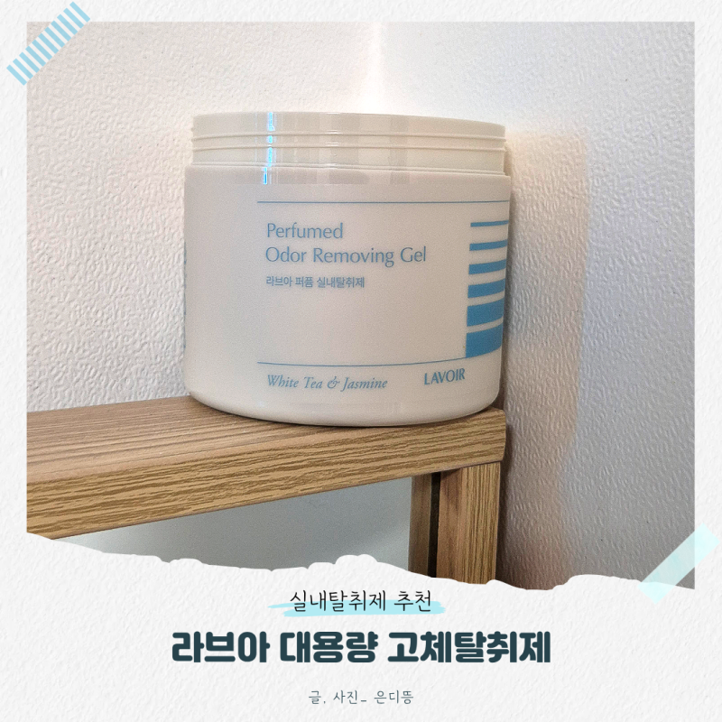 화장실 냄새 잡기 성공한 후기 feat. 라브아 대용량 고체탈취제
