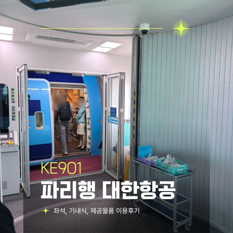 대한항공 파리행 KE901 이용후기 (기내식, 와이파이 등)