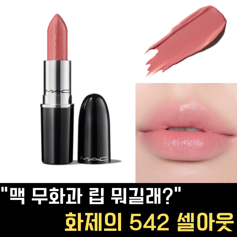맥 무화과 립스틱이 뭐길래? 요즘 다시 뜨는 542 셀아웃 발색·퍼스널컬러