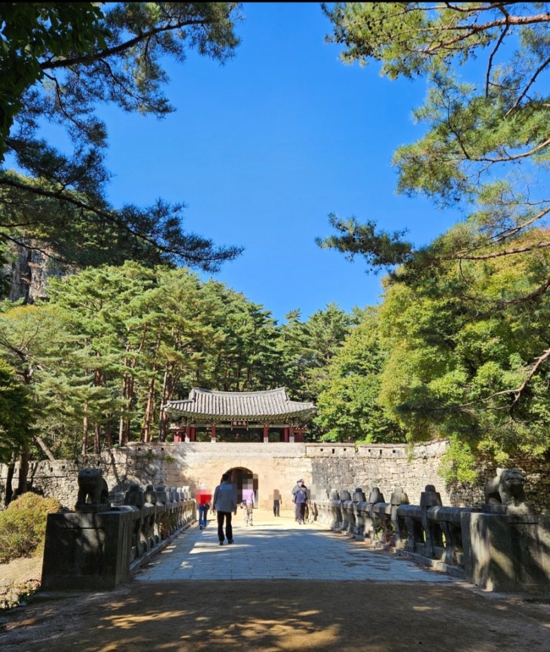 문경새재 오픈세트장 1관문 2관문 전동차 운행시간 요금 애견동반