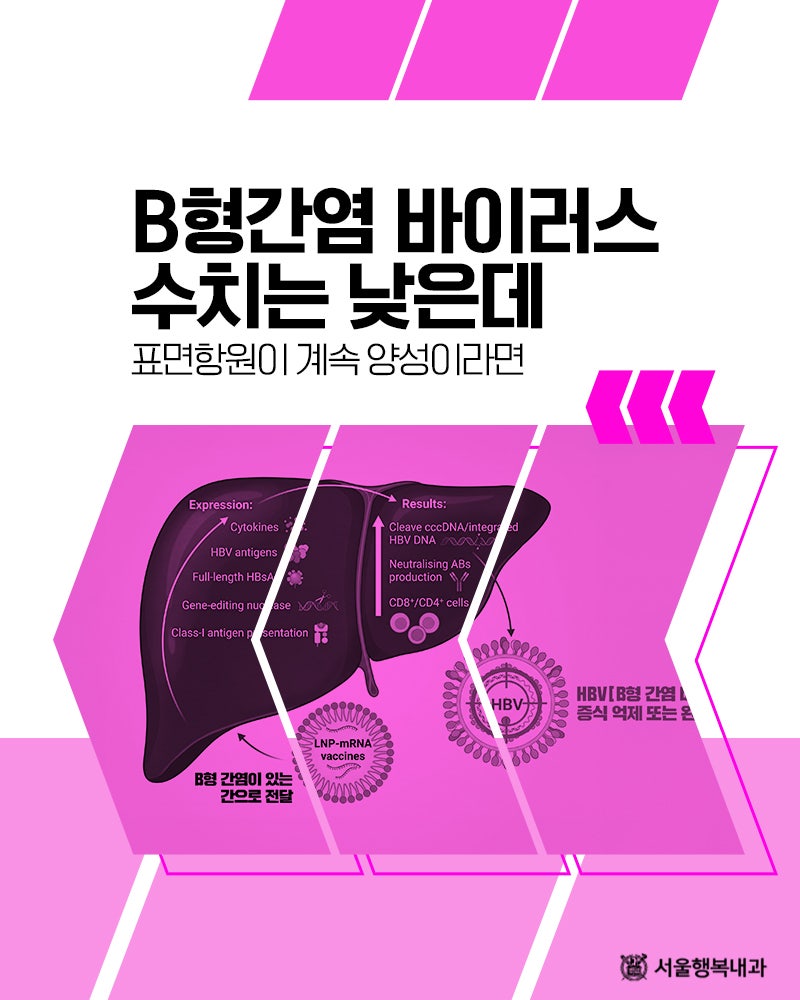 B형간염 바이러스 수치는 낮은데 표면항원이 계속 양성이라면
