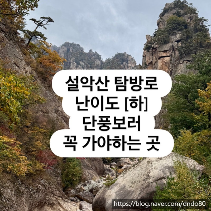 설악산 주전골 단풍, 오색약수터에서 용소폭포까지 가을 산책 코스
