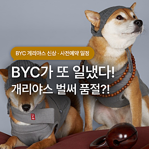BYC가 또 일냈다! 강아지 개리야스 보살조끼 사전예약 정보 | 26FW 신상 총정리