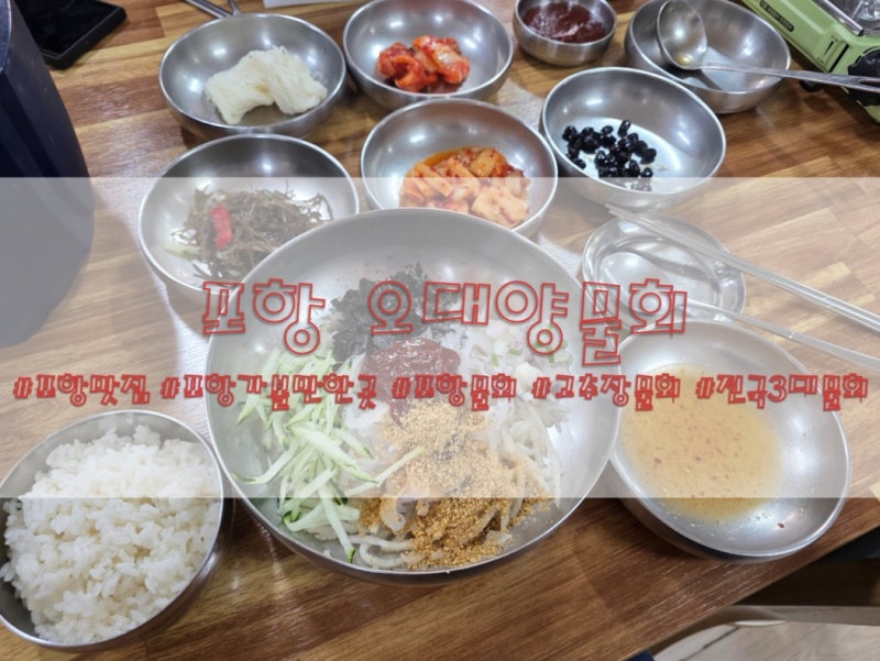 [포항맛집]경상북도/포항시/전국3대고추장물회/물회전문점/포항물회는여기! #포항 오대양물....