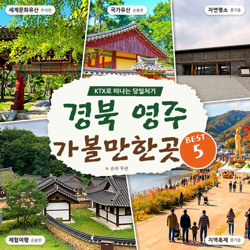 부석사 은행나무 말고도.. 주차까지 0원, 경북 영주 가볼만한곳 BEST 5