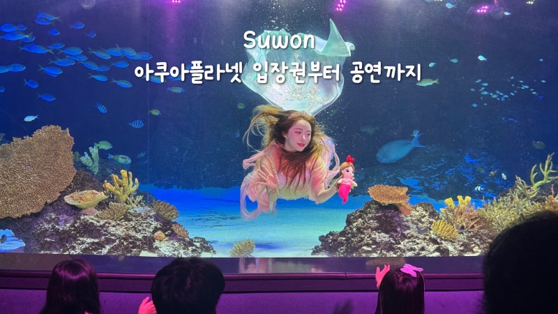아쿠아플라넷 광교 주차 할인 공연시간표 머메이드쇼 후기