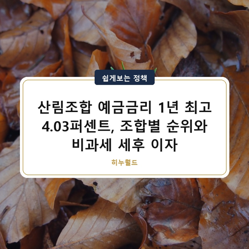 산림조합 예금금리 1년 최고 4.03퍼센트, 조합별 순위와 비과세 세후 이자