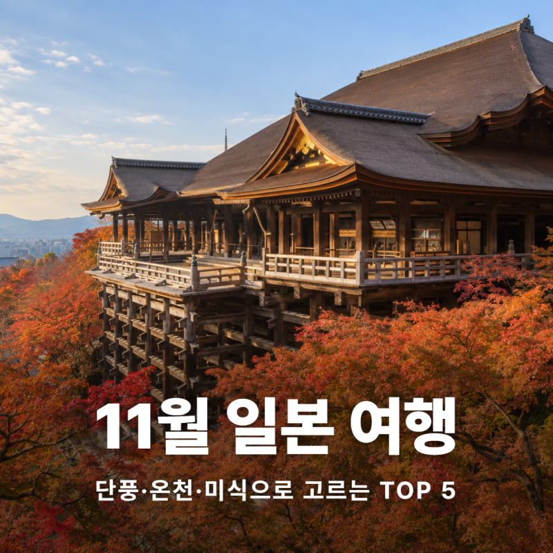11월 일본 추천여행지 TOP 5, 단풍과 온천부터 스모·미식까지
