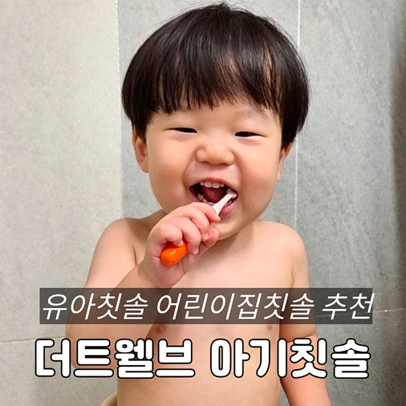 더트웰브 아기칫솔 후기｜어린이집칫솔·유아칫솔 추천과 칫솔 교체주기