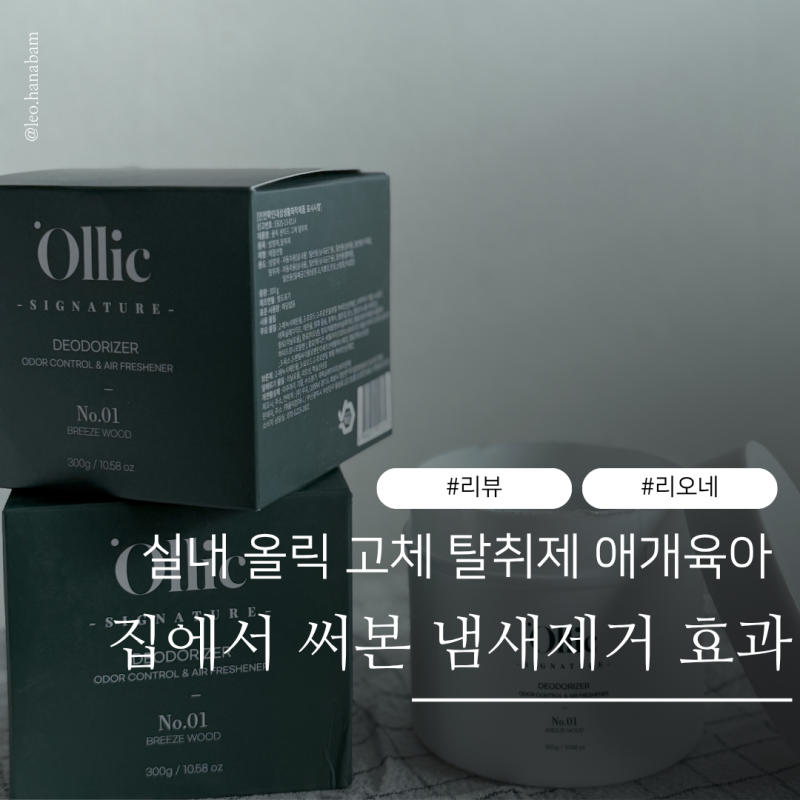 실내 올릭 고체 탈취제 애개육아 집에서 써본 냄새제거 효과!
