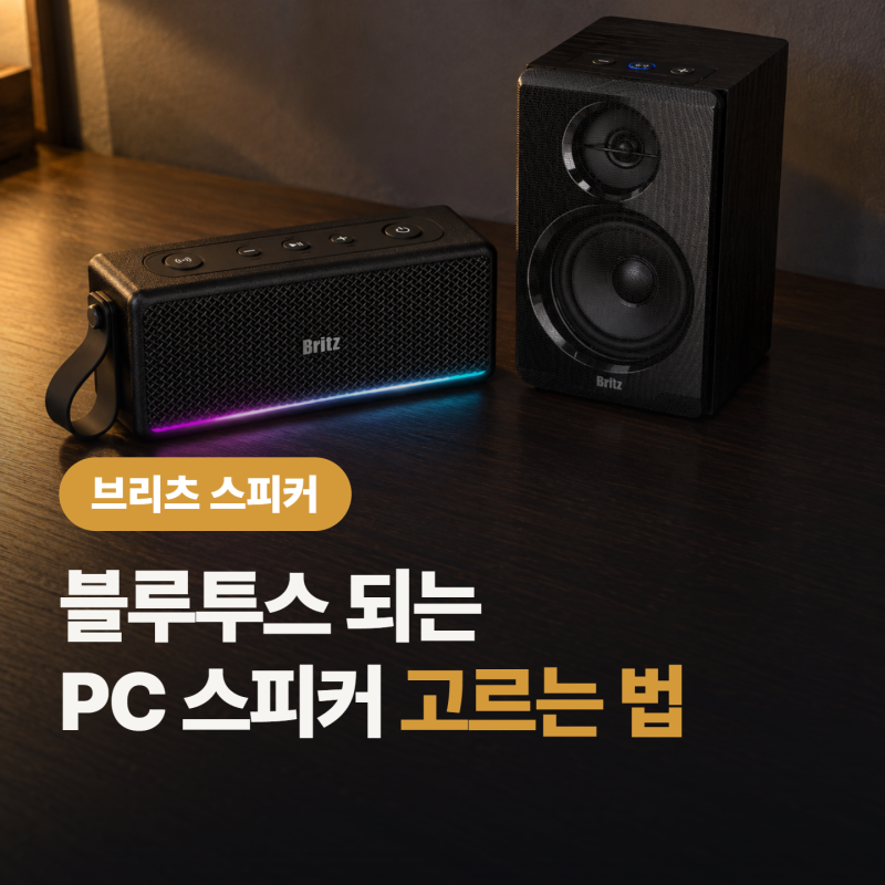 브리츠 스피커 살 때 꼭 보세요, PC용과 휴대용 나누는 결정적 차이